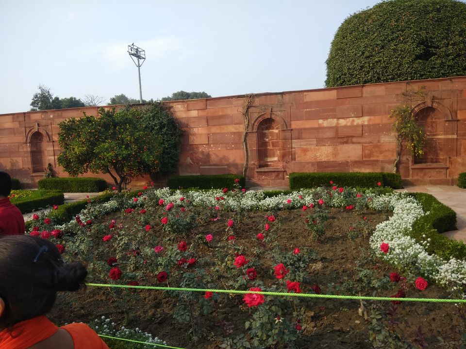 Photo of Mughal Gardens, Rashtrapati Bhawan, President's Estate, New Delhi, Delhi, India by Debasish bhoi