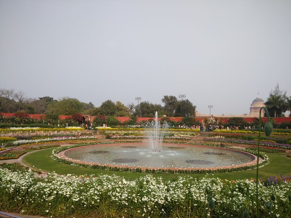 Photo of Dream came true: Mughal garden of rastrapati Bhawan by Debasish bhoi