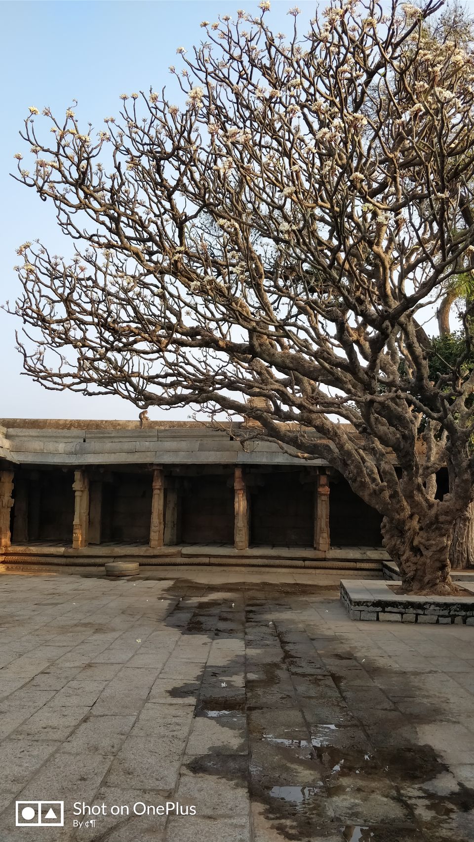 Photo of Lepakshi temple - The lost jewel #bestoftravel by Avanthika Musipatla