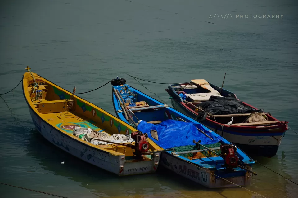 Photo of Rameswaram-Dhanushkodi Road, Rameswaram, Tamil Nadu, India by Avanthika Musipatla