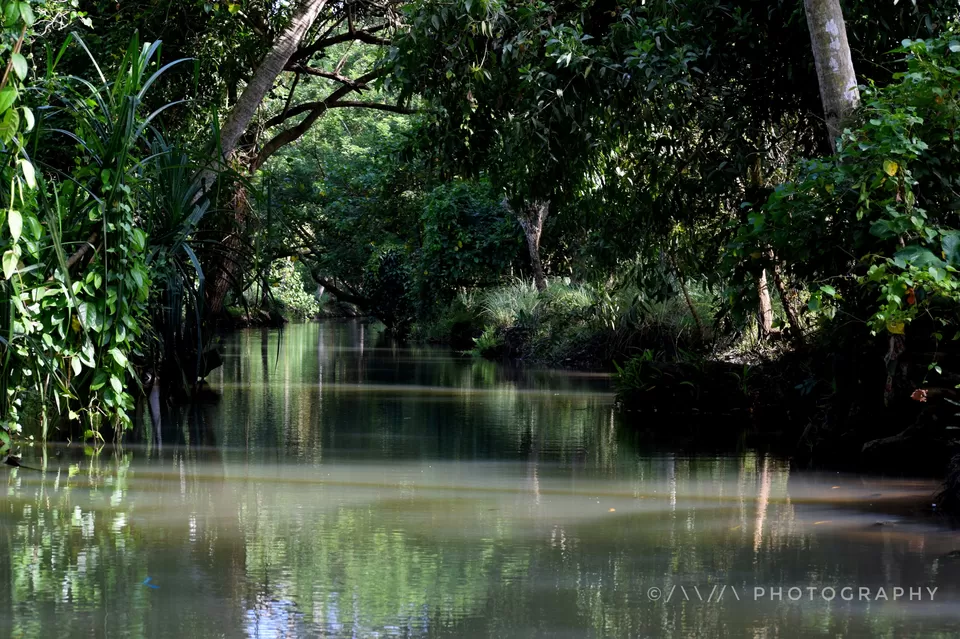 Photo of Poovar Backwater, Poovar - Uchakada Road, Poovar, Kerala, India by Avanthika Musipatla