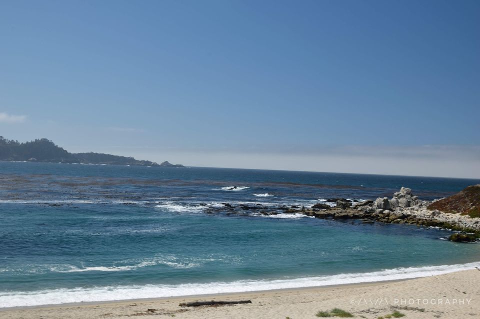Photo of Carmel-by-the-Sea, CA, USA by Avanthika Musipatla