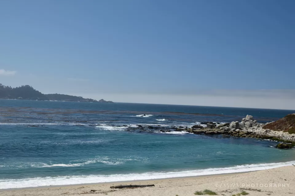 Photo of Carmel-by-the-Sea, CA, USA by Avanthika Musipatla