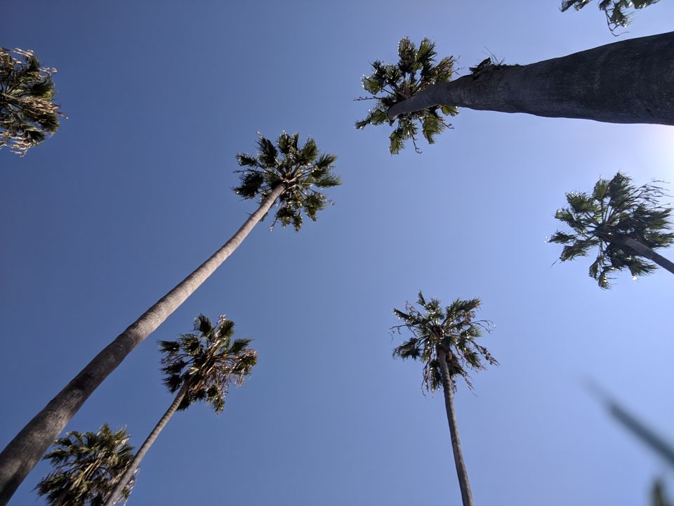 Photo of East Beach, Santa Barbara, CA, USA by Avanthika Musipatla