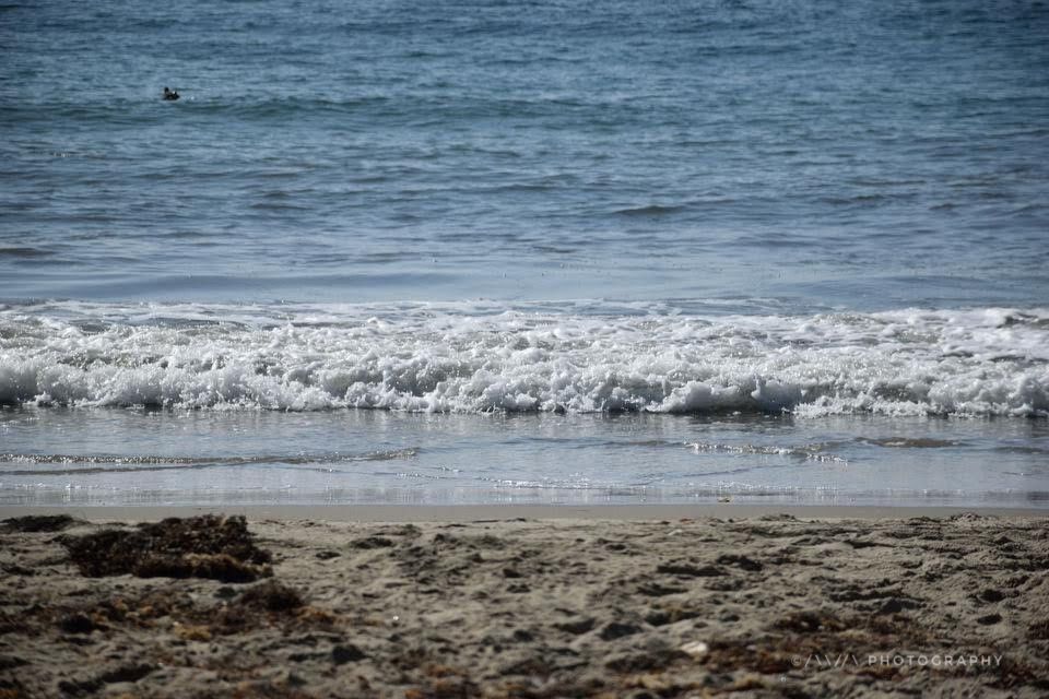 Photo of Shoreline Beach Cafe, Shoreline Drive, Santa Barbara, CA, USA by Avanthika Musipatla