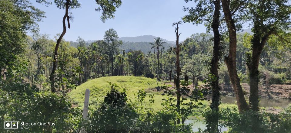 Photo of Why did I decide to spend my New year's at Kodagu! 1/15 by Avanthika Musipatla