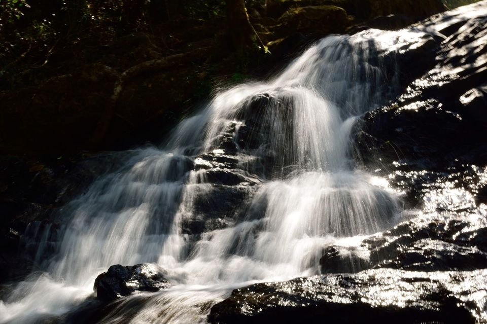Photo of Why did I decide to spend my New year's at Kodagu! 6/15 by Avanthika Musipatla