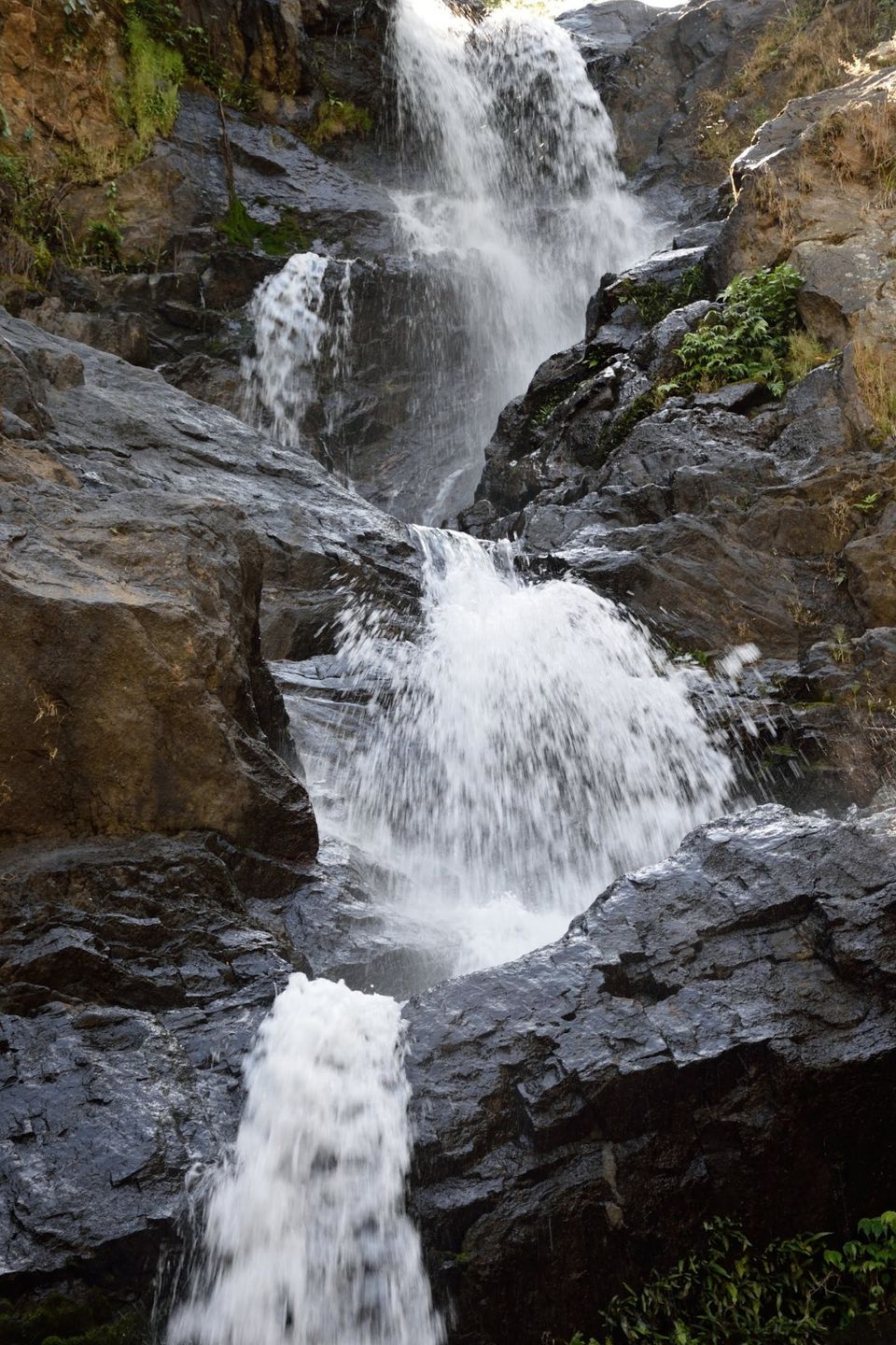 Photo of Why did I decide to spend my New year's at Kodagu! 7/15 by Avanthika Musipatla
