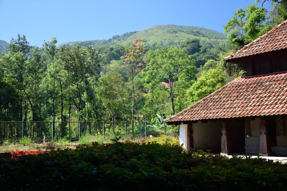Photo of Why did I decide to spend my New year's at Kodagu! 9/15 by Avanthika Musipatla
