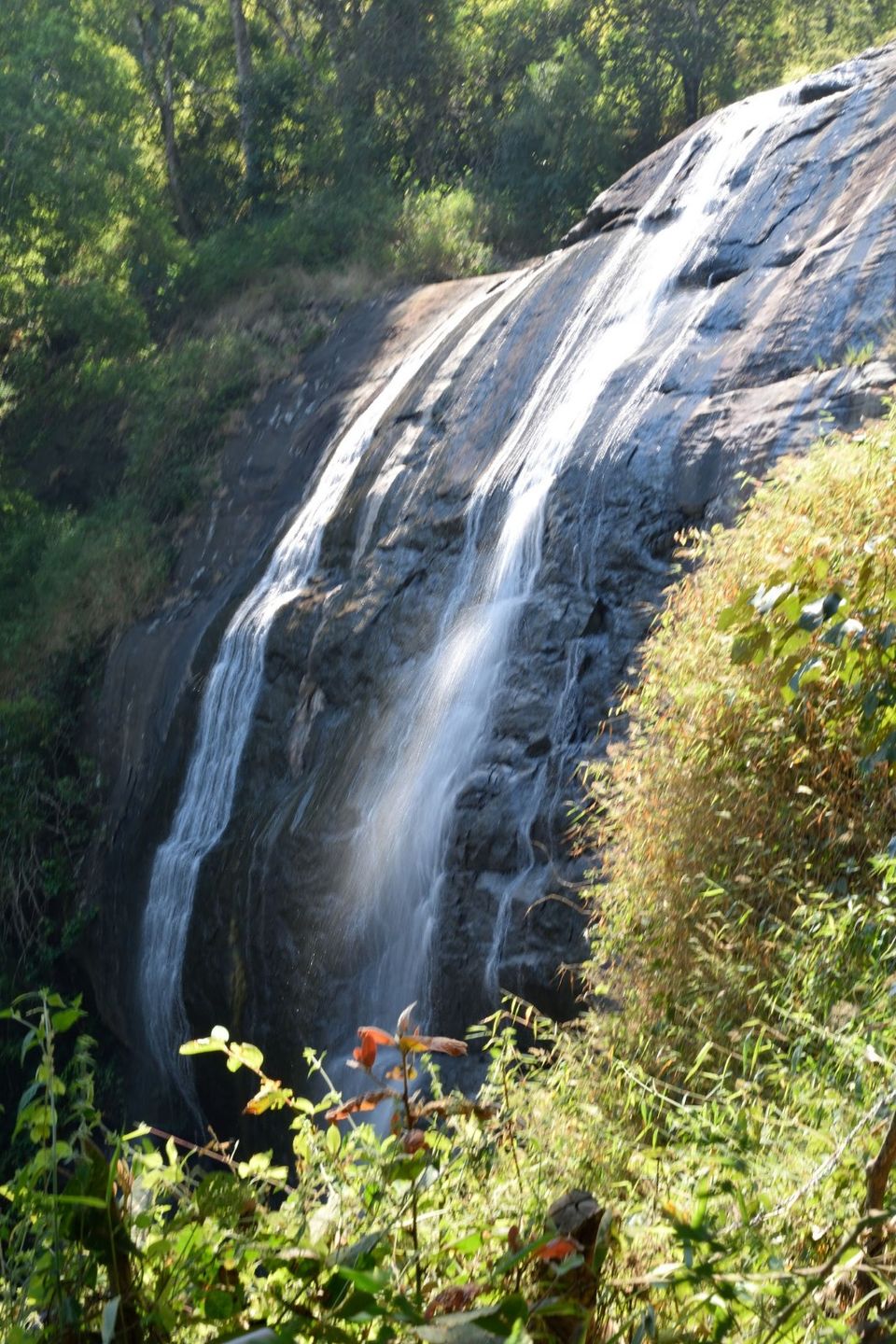 Photo of Why did I decide to spend my New year's at Kodagu! 11/15 by Avanthika Musipatla