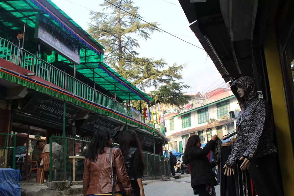 Photo of Through the eyes of a Budget Traveler- Mcleodganj, in the lap of Dharamsala and Triund Trek. by Deep Shikha Singh