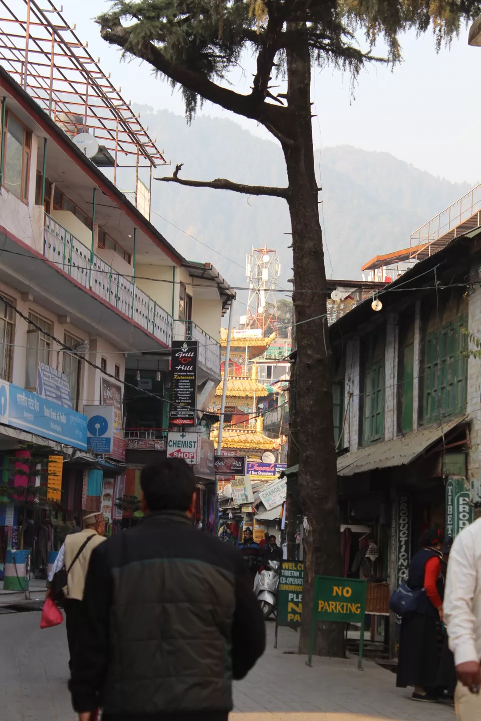 Photo of Through the eyes of a Budget Traveler- Mcleodganj, in the lap of Dharamsala and Triund Trek. by Deep Shikha Singh