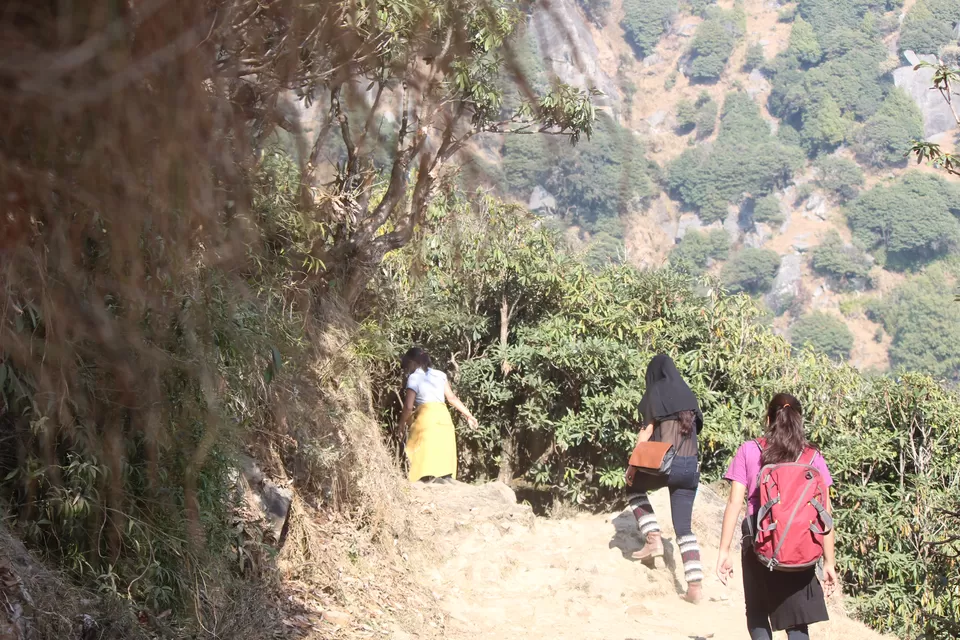 Photo of Through the eyes of a Budget Traveler- Mcleodganj, in the lap of Dharamsala and Triund Trek. by Deep Shikha Singh