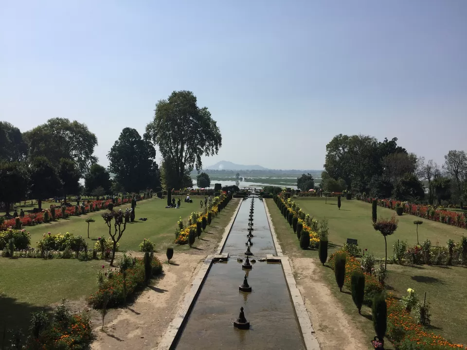 Photo of Nishat Garden, Nishat, Srinagar by Pooja Shetty
