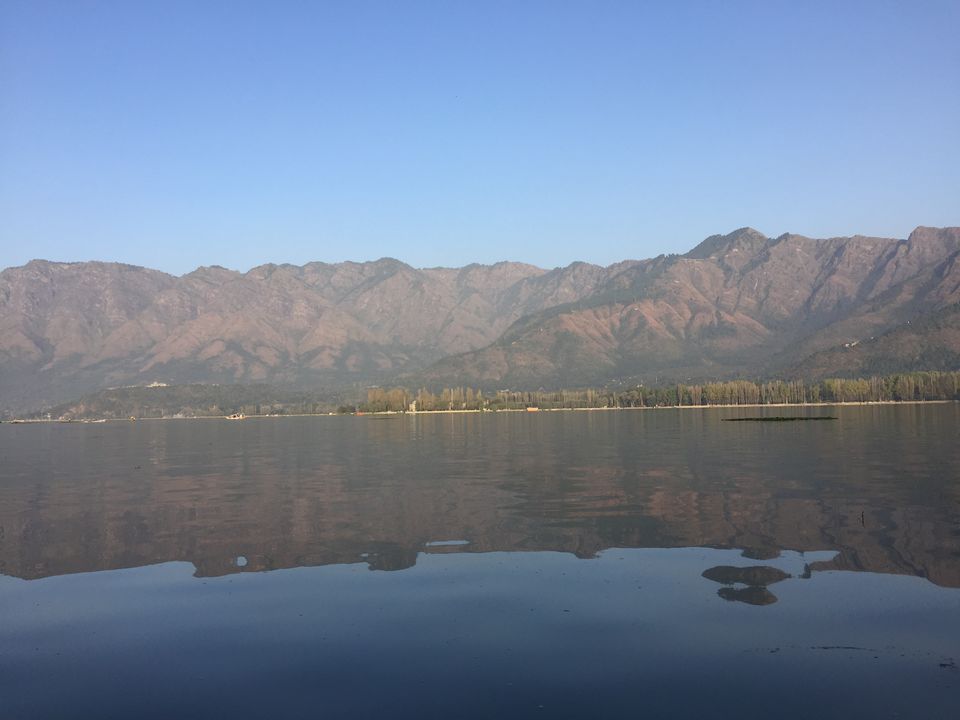 Photo of Srinagar in 2 Days by Pooja Shetty