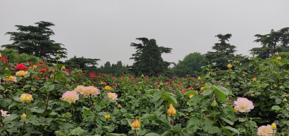 Photo of Discovering China - Everything you need to know! (Part 1) by Pooja Shetty