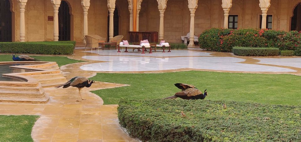 Photo of Jaisalmer, Rajasthan, India by Pooja Shetty