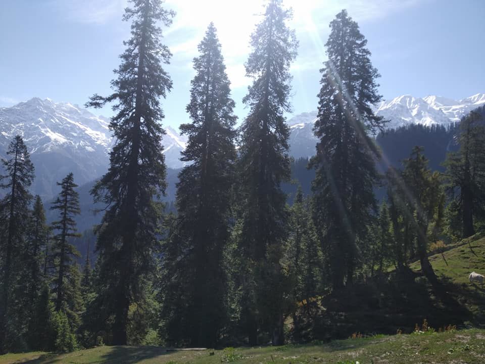 Photo of Explore the Unexplore Version of You - First Solo Himalayan Trek 8/13 by Priya Lahoti