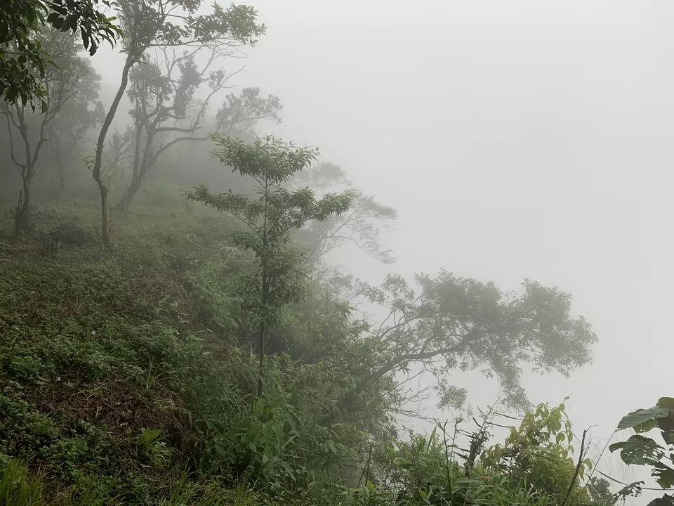 Photo of North-East India Heaven - 4 day Family Trip #Vacation #Family #India #travel by Praising Nature