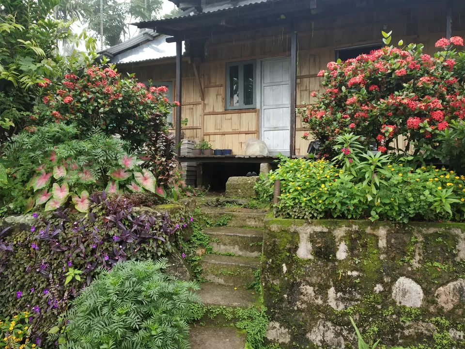 Photo of North-East India Heaven - 4 day Family Trip #Vacation #Family #India #travel by Praising Nature