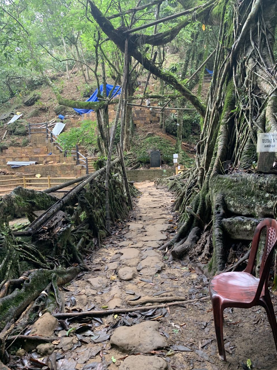 Photo of North-East India Heaven - 4 day Family Trip #Vacation #Family #India #travel by Praising Nature