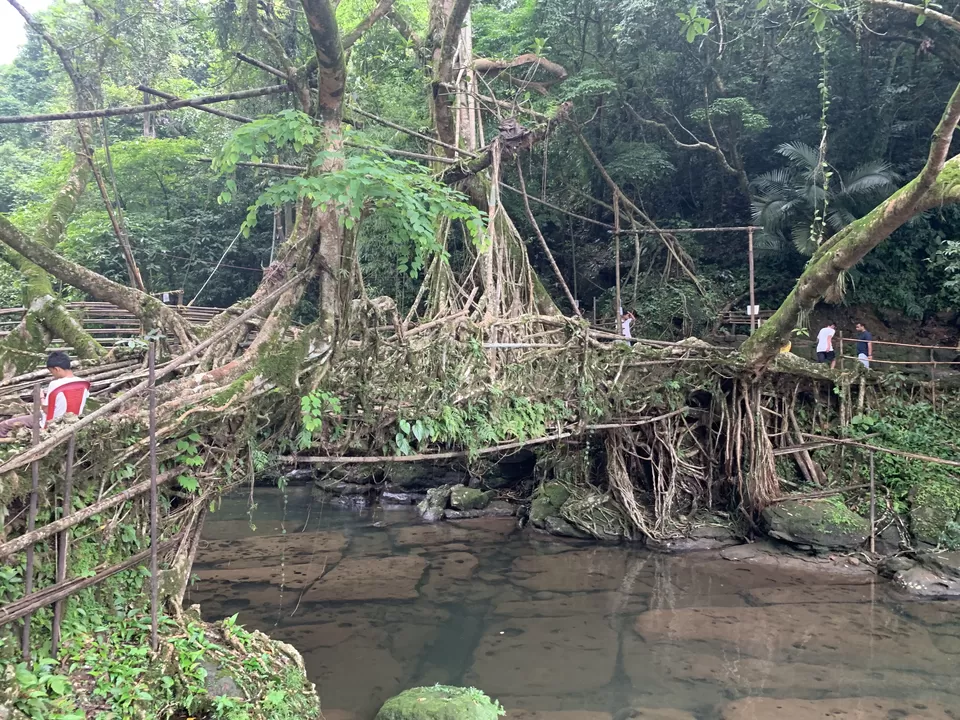 Photo of North-East India Heaven - 4 day Family Trip #Vacation #Family #India #travel by Praising Nature