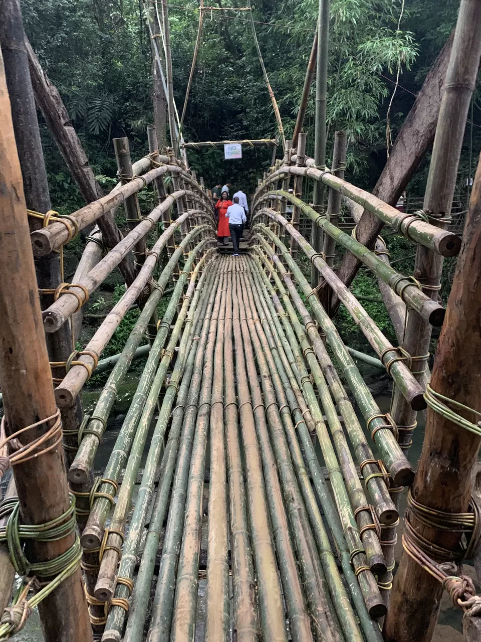 Photo of North-East India Heaven - 4 day Family Trip #Vacation #Family #India #travel by Praising Nature