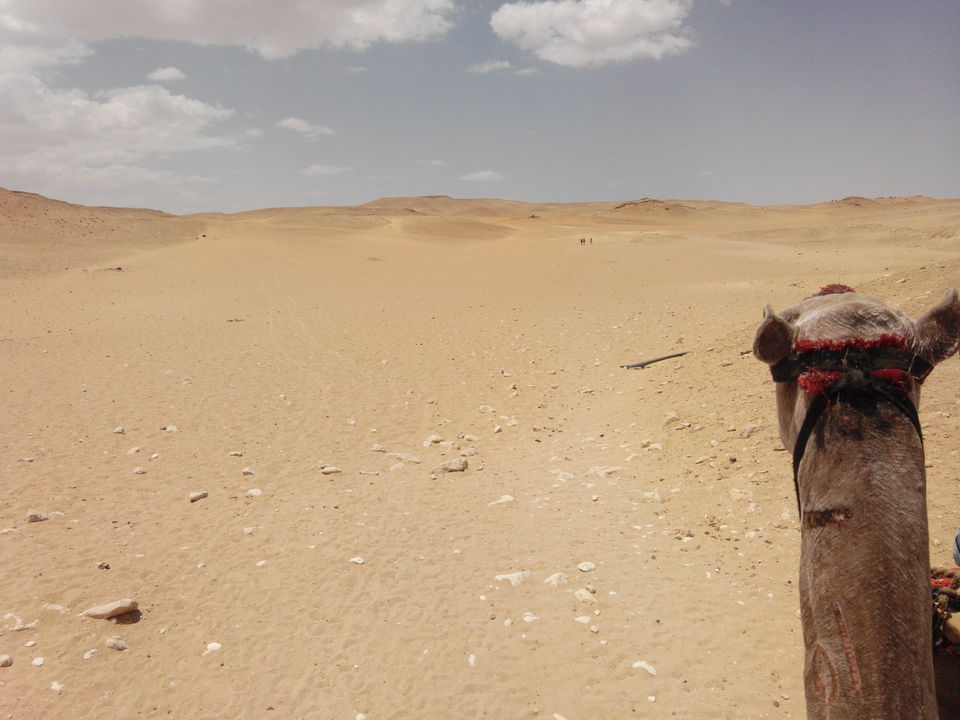 Photo of 6 Destinations in Egypt You can't Miss #Egpyt #Travel #Adventure 3/19 by Praising Nature