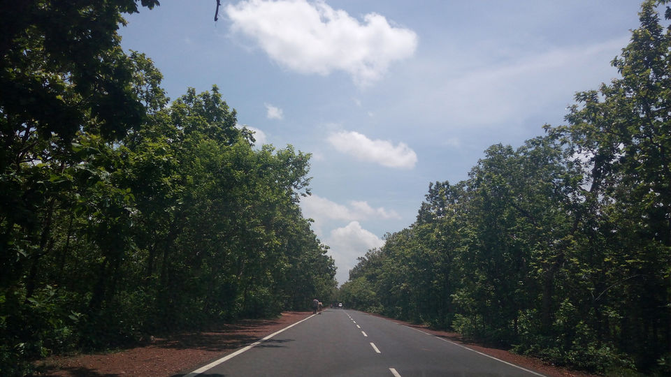 Photo of Bolpur - Santiniketan Road, Darjipara, Bolpur, West Bengal, India by Tanya