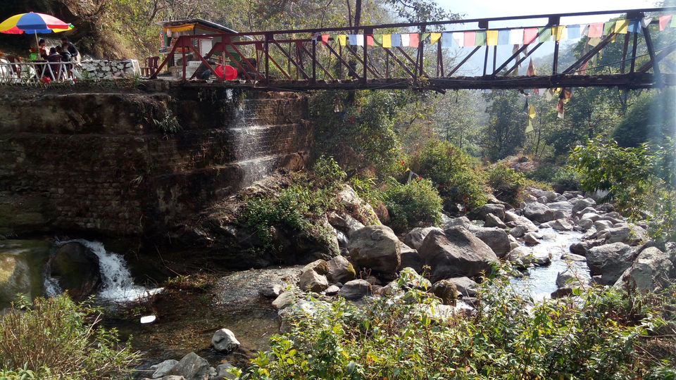 Photo of Gangtok, Sikkim, India by Tanya