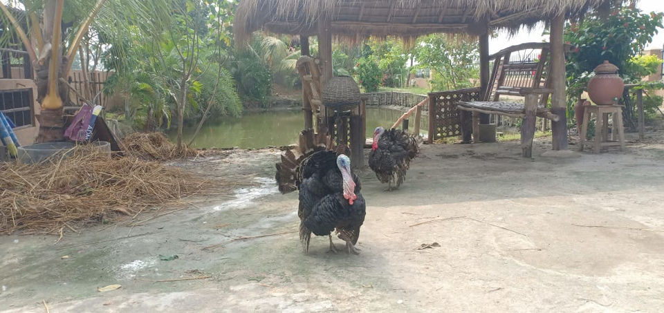 Photo of Village But not village- Destination Near Kolkata by Tanya