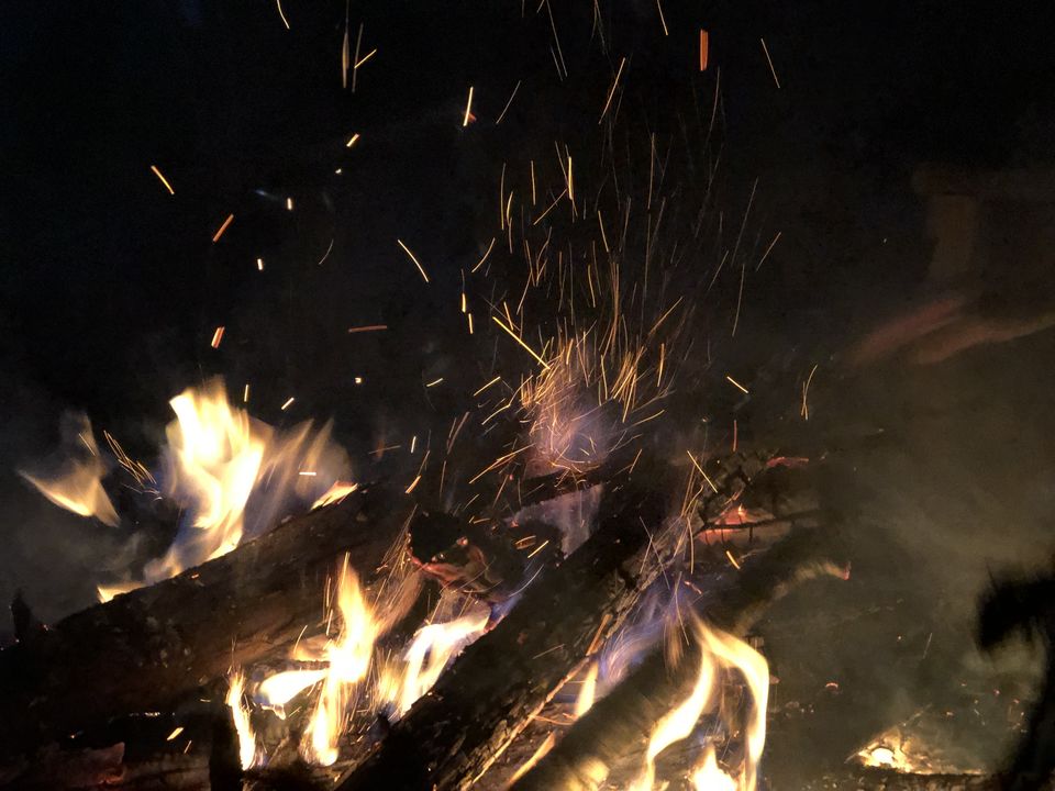 Photo of Lava, West Bengal, India by Tanya