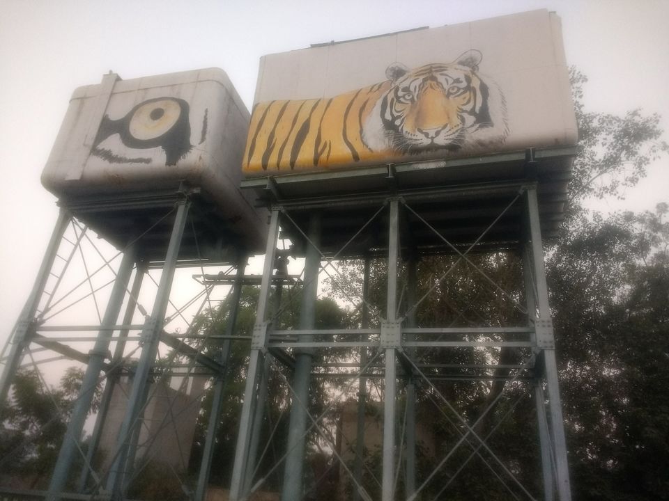 Photo of From Pug Marks to Alarm Calls: Stalking the Tiger in Ranthambore 2/2 by Shreya Roy Chowdhury