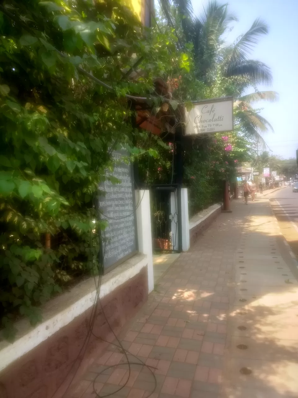 Photo of Candolim Beach, Goa, Candolim, Goa, India by Shreya Roy Chowdhury