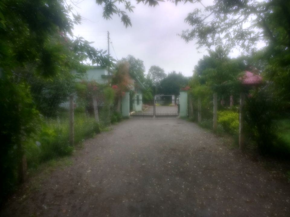 Photo of Bilaspur, Chhattisgarh, India by Shreya Roy Chowdhury