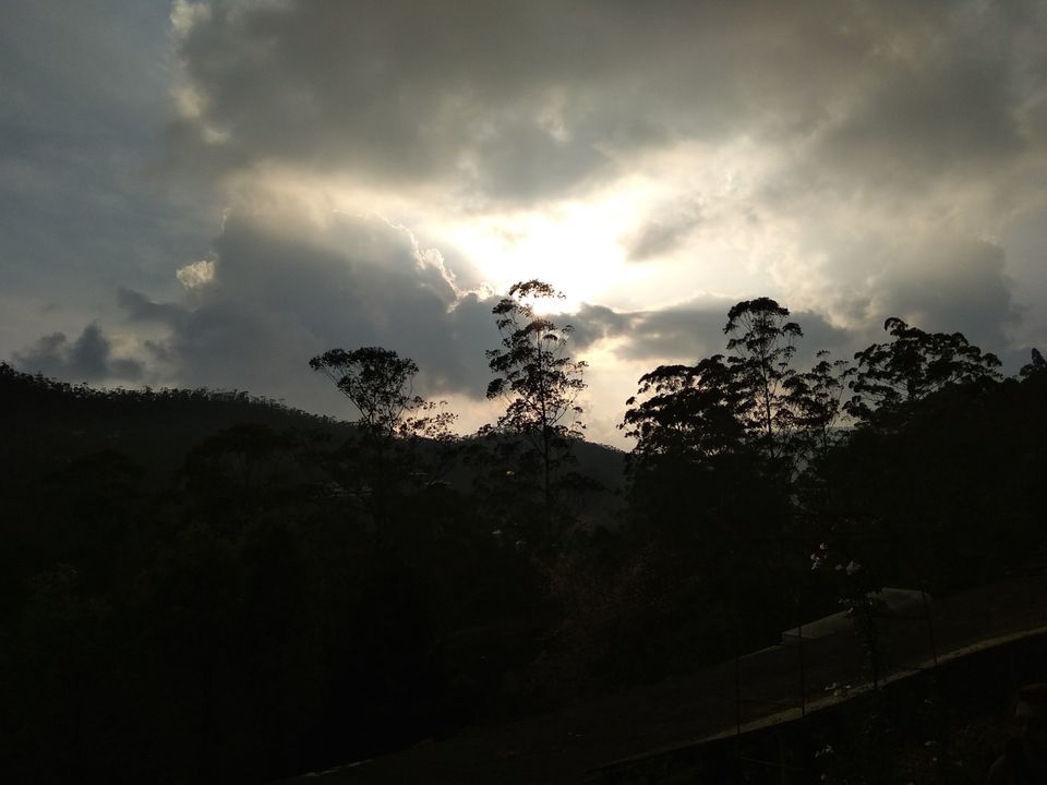 Photo of Munnar, Kerala, India by Anwesha Guha