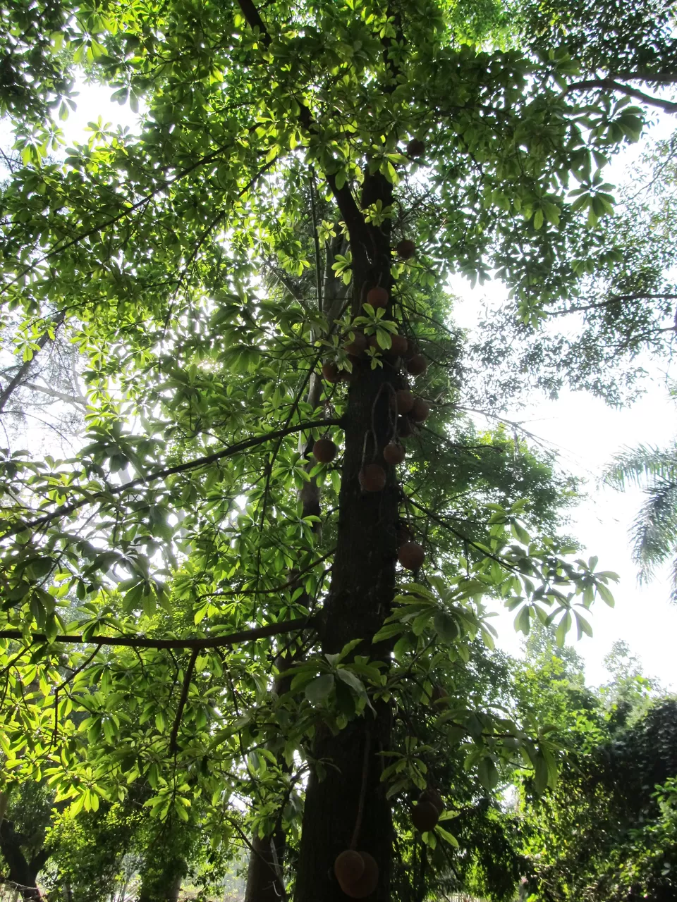 Photo of Visva-Bharati, Bolpur, West Bengal, India by Anwesha Guha