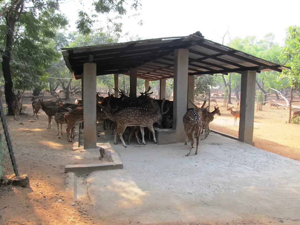 Photo of Ballabhpur, West Bengal, India by Anwesha Guha