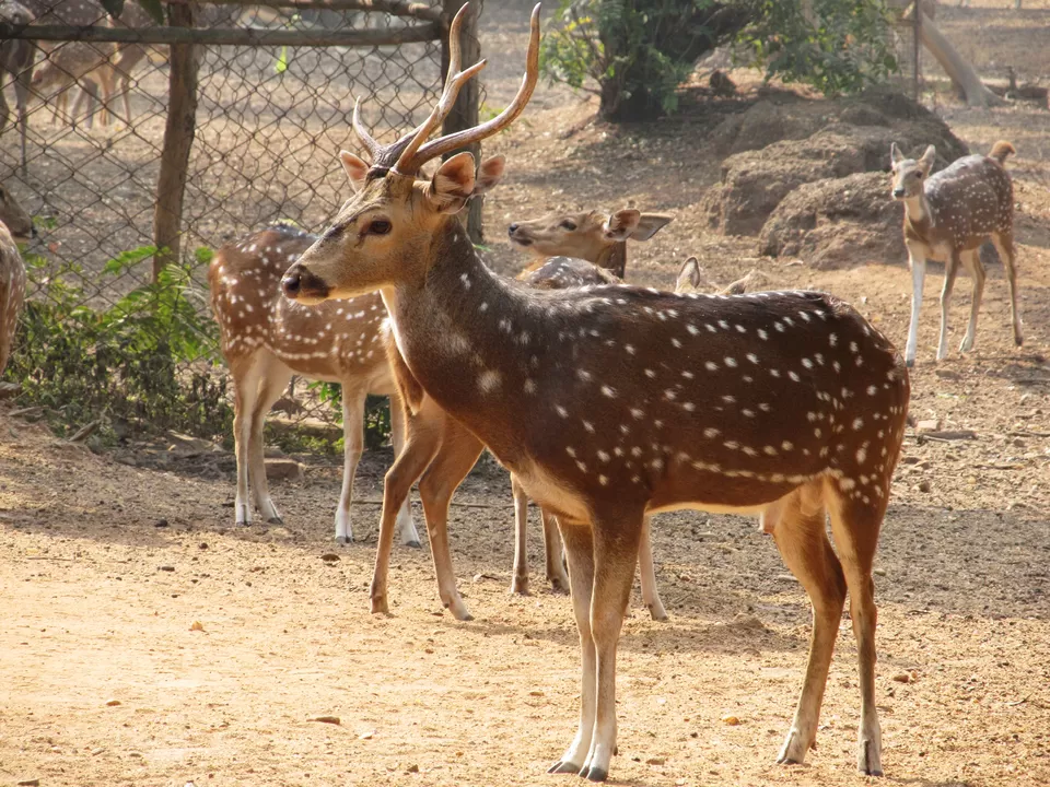 Photo of Ballabhpur, West Bengal, India by Anwesha Guha
