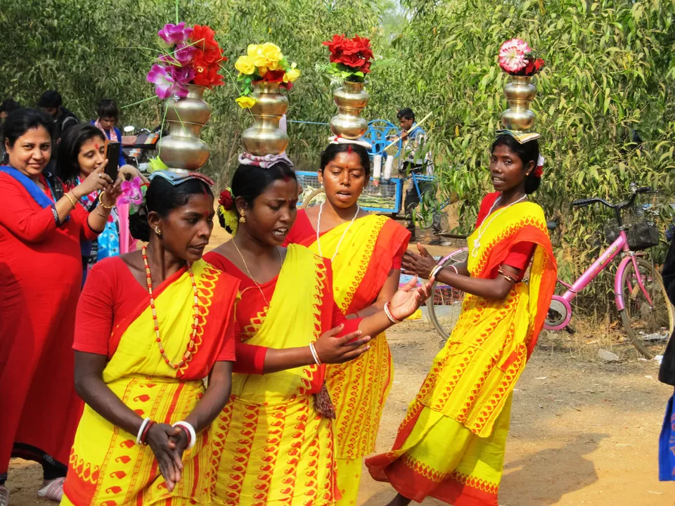 Photo of Sonajhuri Forest, Birbhum, West Bengal, India by Anwesha Guha