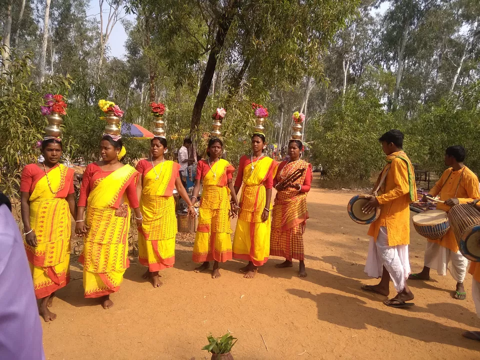 Photo of Sonajhuri Forest, Birbhum, West Bengal, India by Anwesha Guha