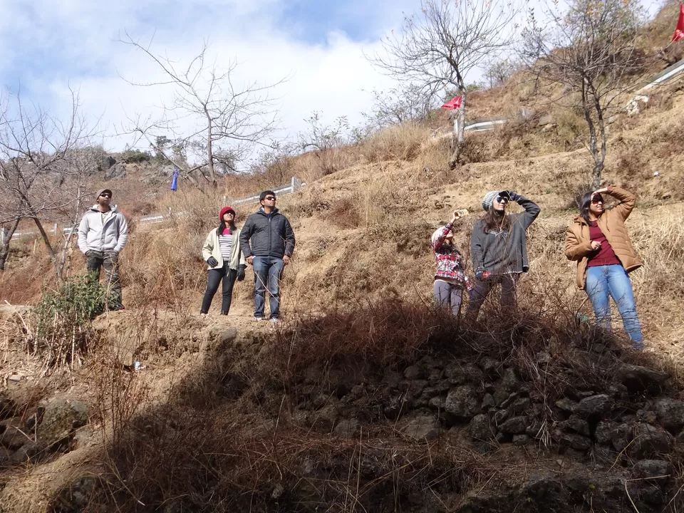 Photo of Dhanolti, Dhanolti, Uttarakhand, India by Heema Joshi