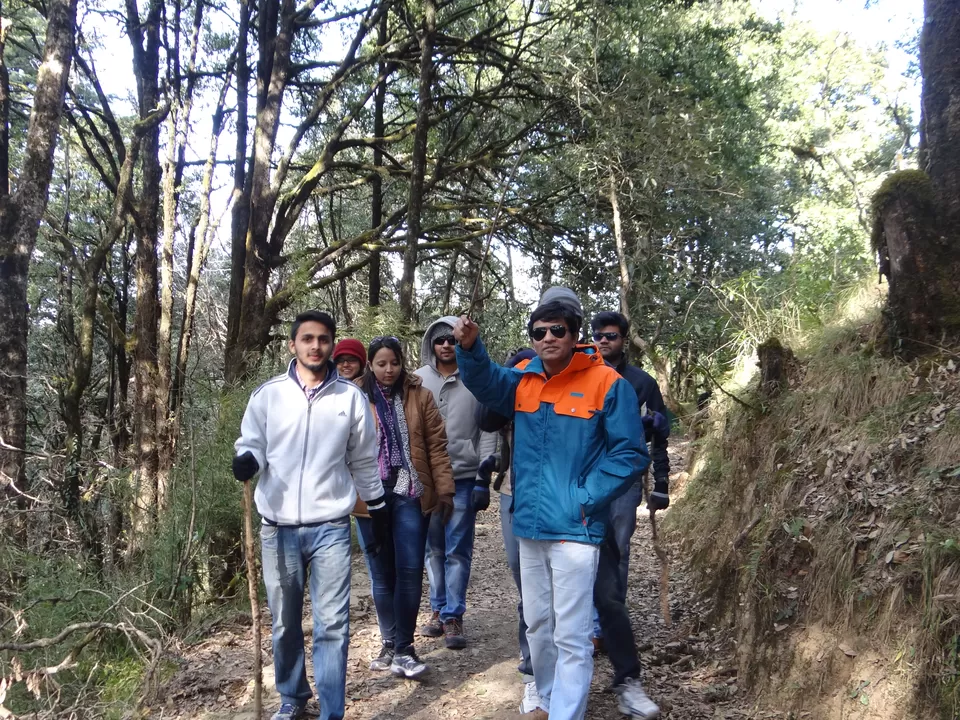 Photo of Binsar, Binsar, Uttarakhand 263628, India by Heema Joshi
