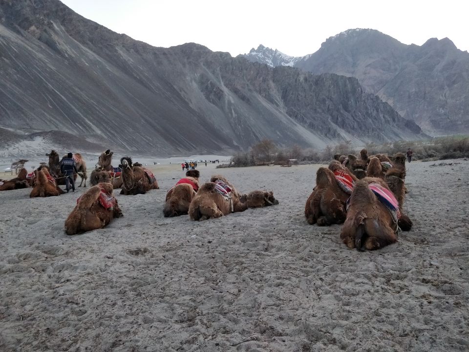 Photo of Once Upon a Time in Leh – Ladakh by Heema Joshi