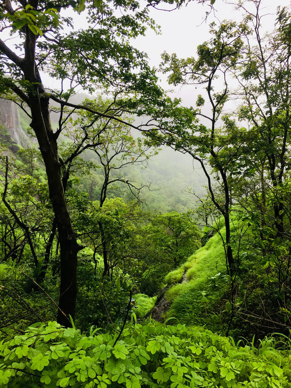 Photo of Kothaligad Walkway, Peth, Maharashtra 410201, India by Tushar Kamble