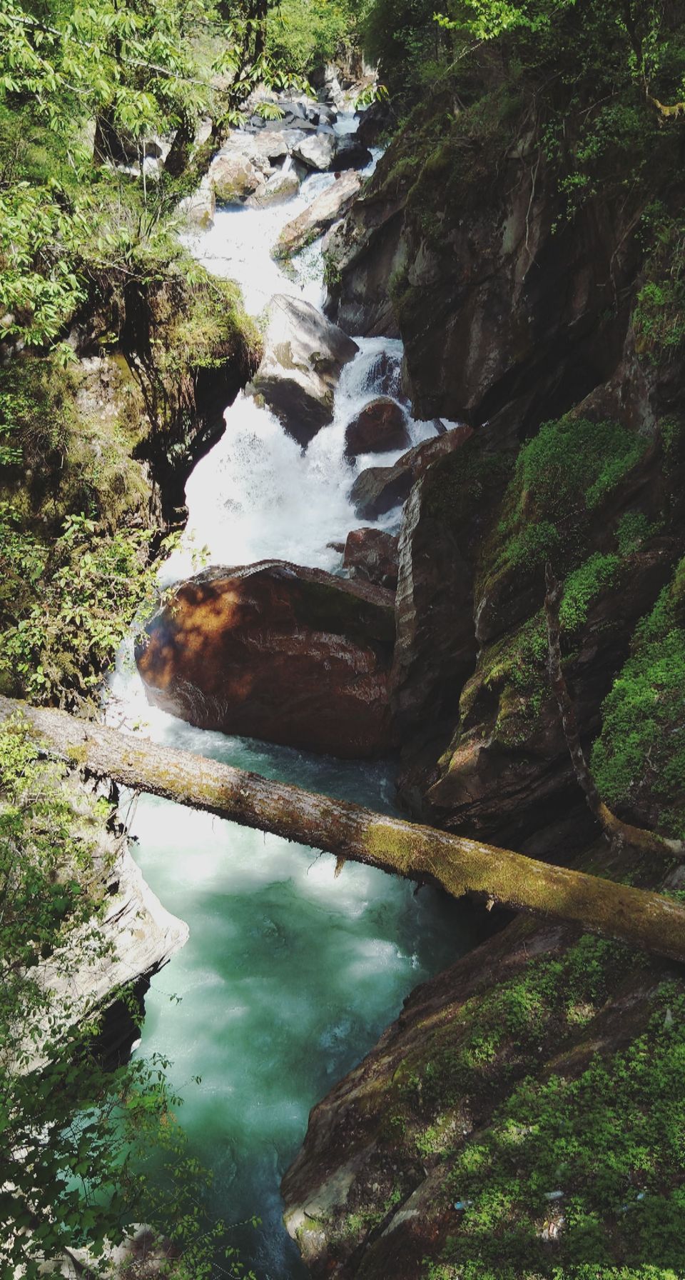 Photo of Himachal in a nutshell!!!! by Jeet Jani