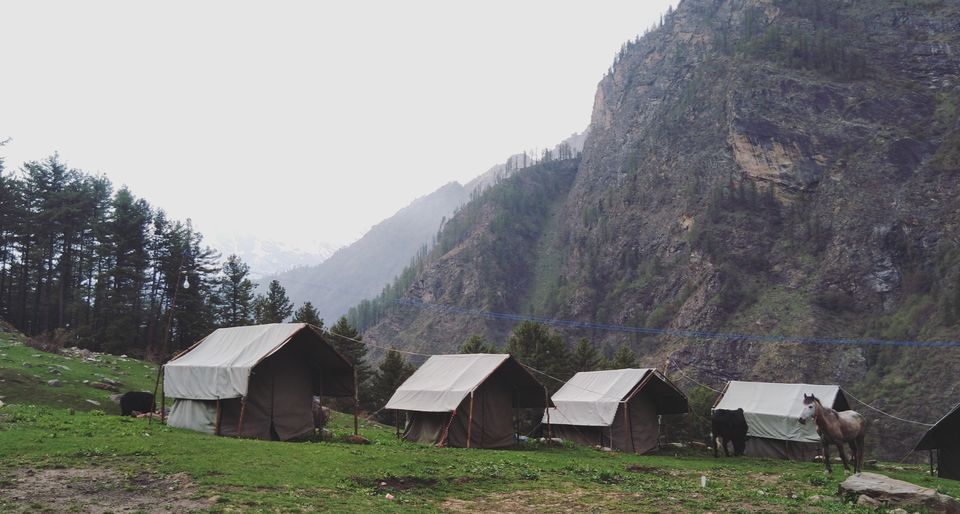 Photo of Himachal in a nutshell!!!! by Jeet Jani
