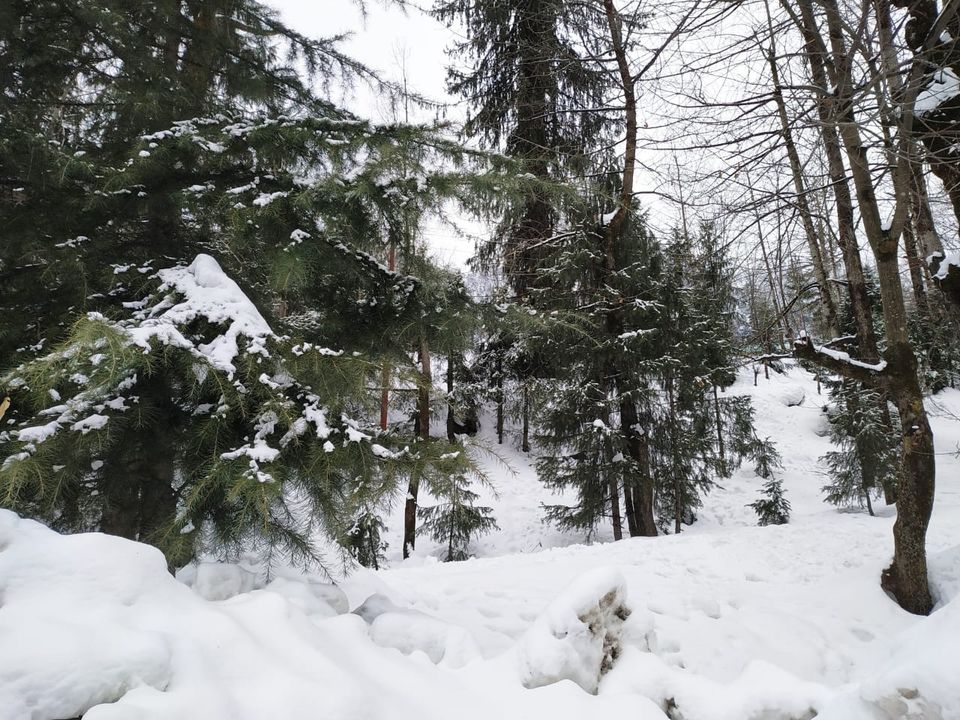 Photo of Winters in manali by Prakash Yadav