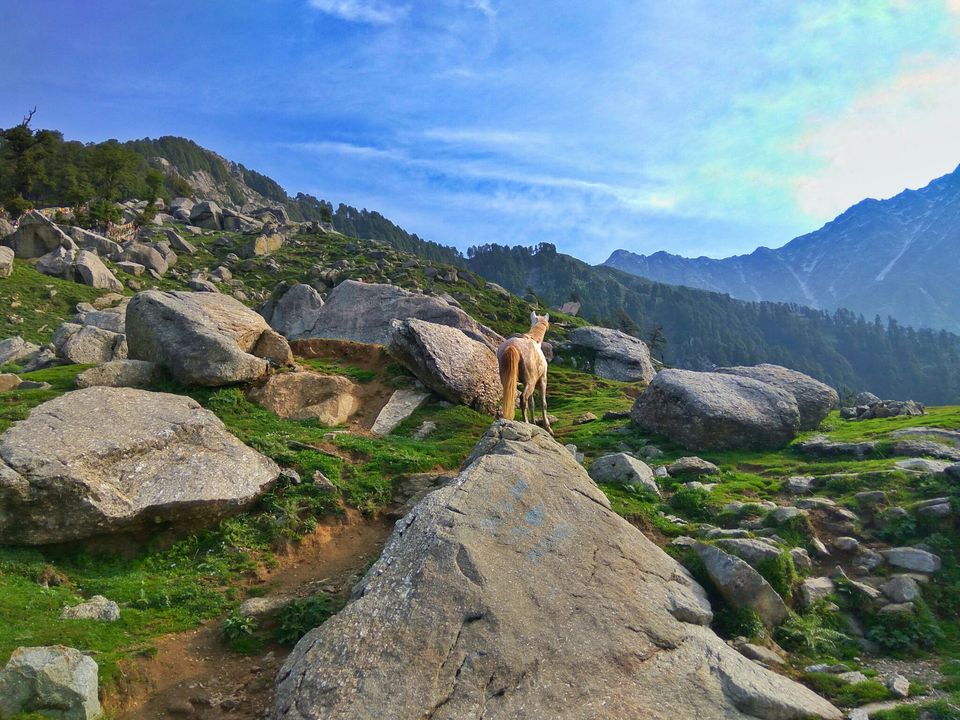 Photo of #TripotoClicksHimalayas by Abhinav Dev