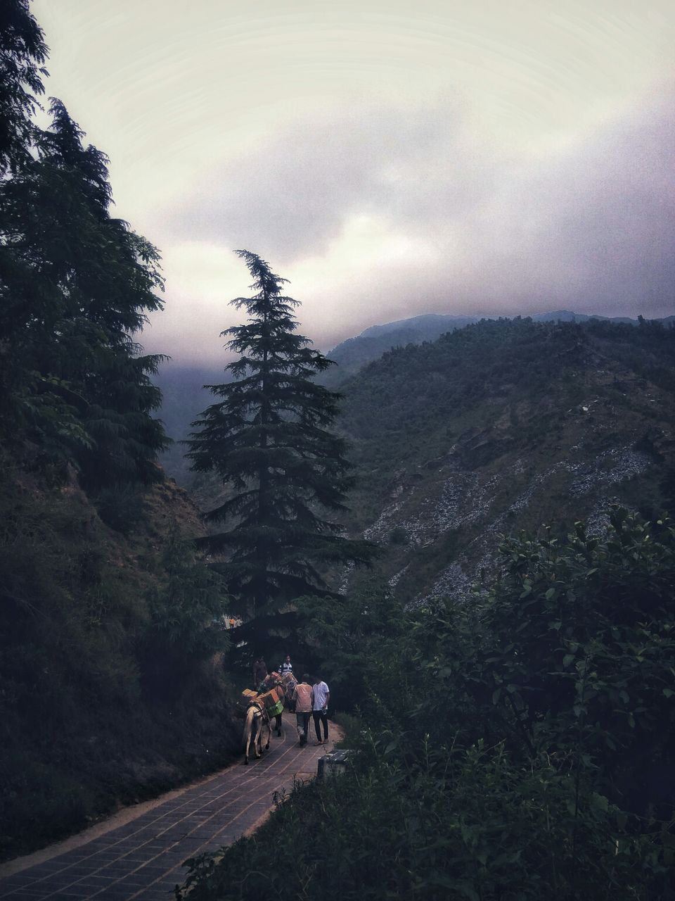 Photo of #TripotoClicksHimalayas by Abhinav Dev